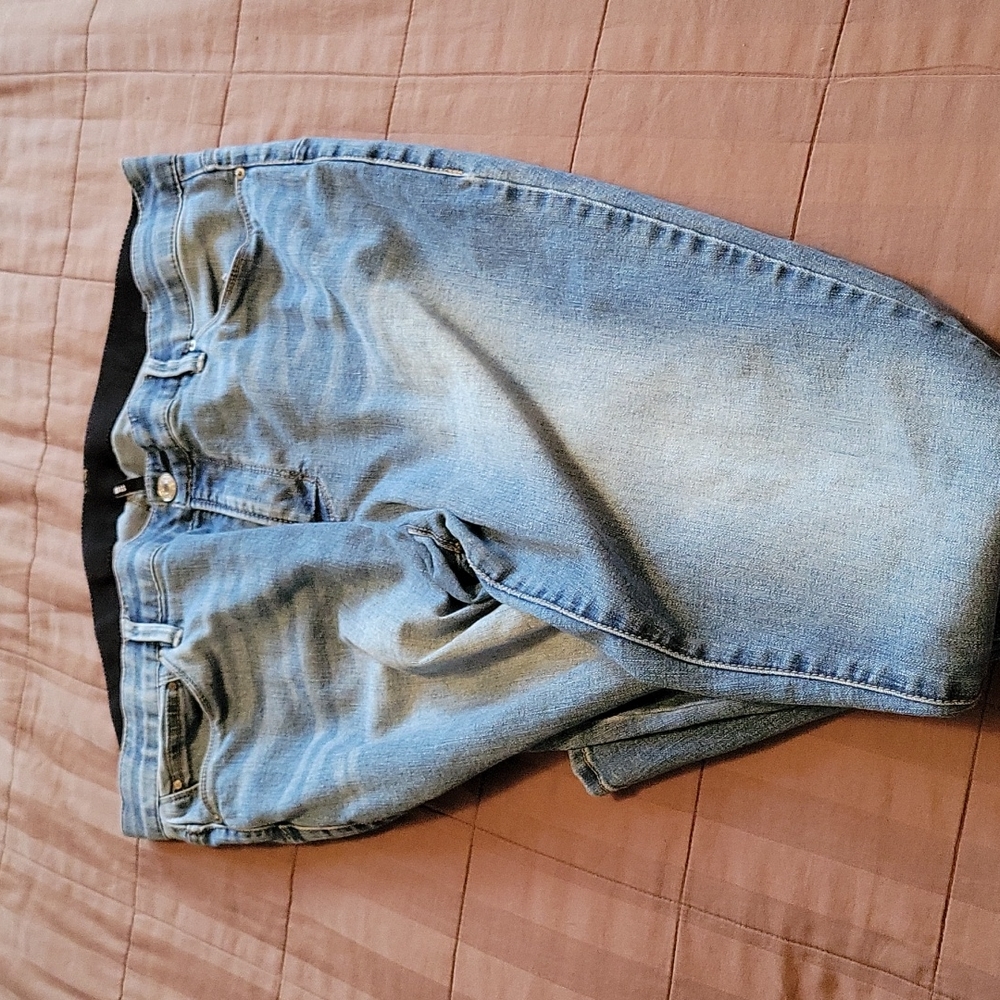 Rebel Wilson Angeles plus size jeans